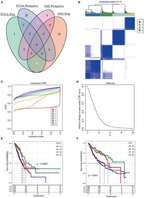 Identification of an Immune Classification and Prognostic Genes for Lung Adenocarcinoma Based on Immune Cell Signatures